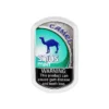 Camel Mint Snus camel mint snus 1.webp