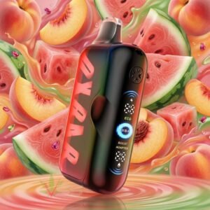 oxbar g100k disposable vape peach watermelon